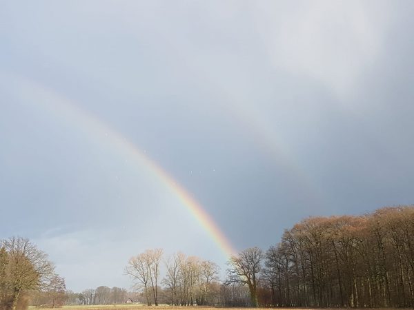 IMG-20190209-WA0000
